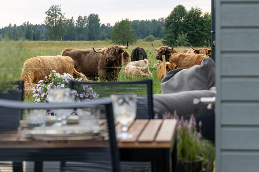 Vaade terrassilt karjamaale