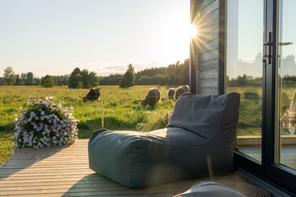 Päikeseloojang terrasssil